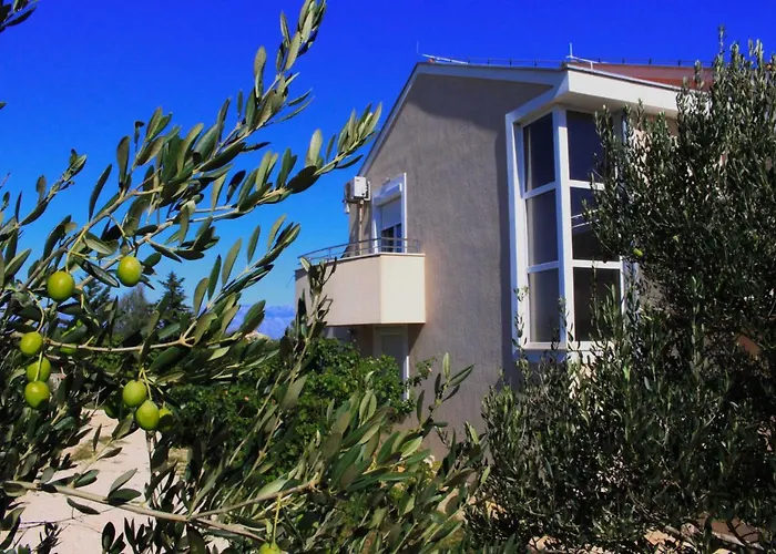 Appartement Olives